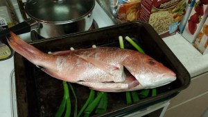 "Please, good sir, step into my sauna..."