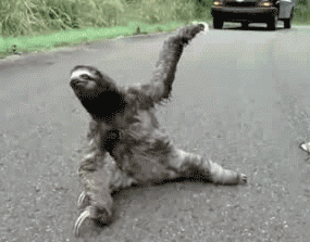 when_i_try_to_do_yoga_after_a_few_months_of_total_laziness-112961