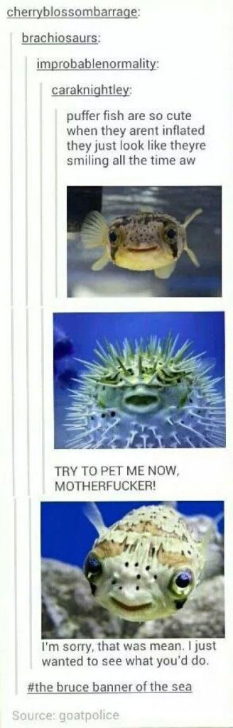 50ef3f5550e1aba0f6ca556e15446e90