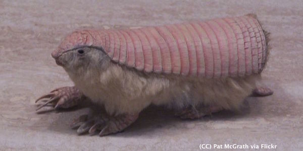 802845-1492034330-wide