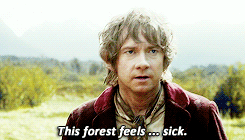 tumblr_n4l63utfx01sem8h0o6_r1_250